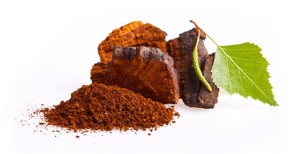 Chaga Mushroom Health Benefits From Extract, Coffee, and Tea