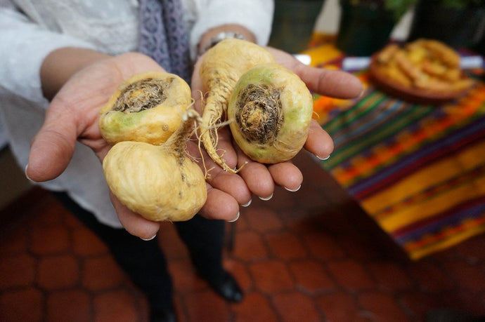 Does Maca Root Powder Cause Weight Gain?