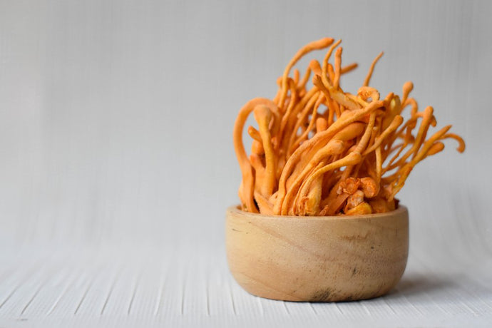 Are Cordyceps Safe & What Are the Effects?