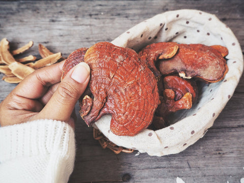 Reishi Mushroom: Health Benefits, How To Use & Where To Buy | 2020