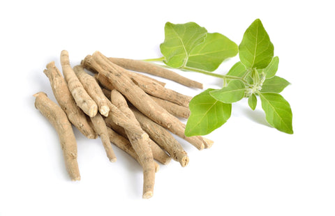 KSM-66 Ashwagandha – Overview, Uses, Side-Effects, and FAQs Answered