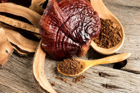 Does Reishi Mushroom Give You Energy?