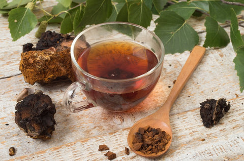 How Much Chaga Can You Drink A Day?