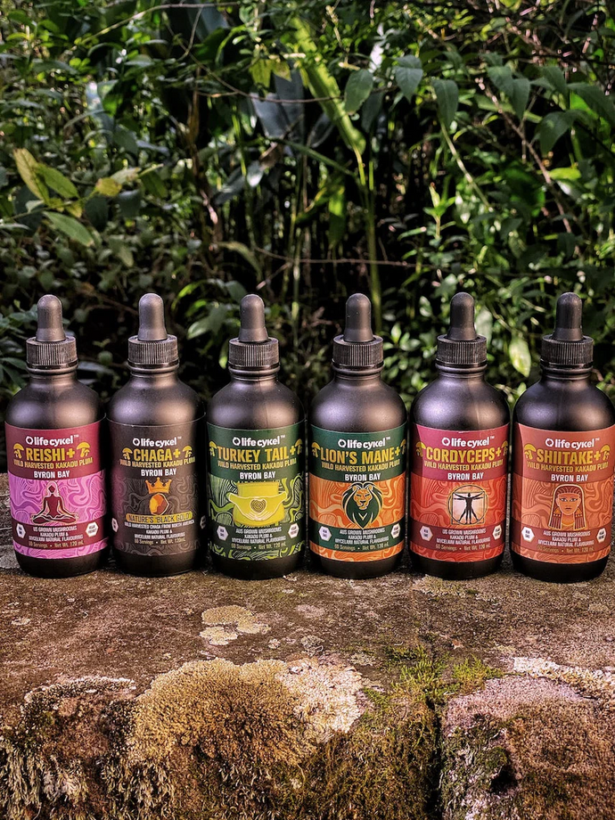 How To Make A Mushroom Tincture (including Reishi, Lion's Mane & Chaga)