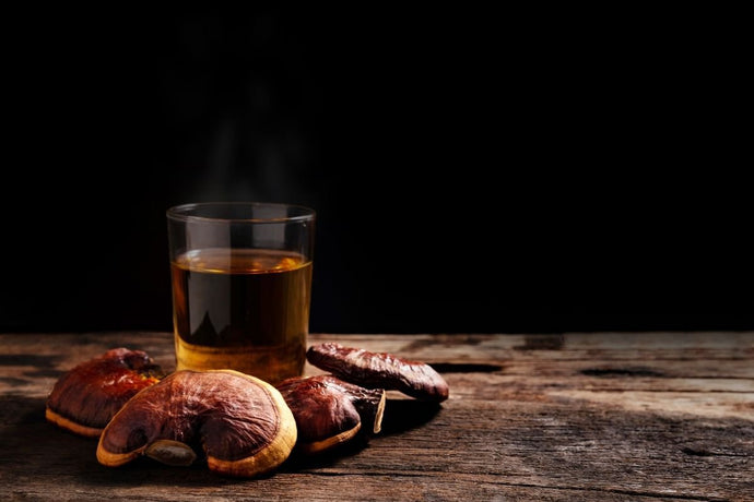 6 Health Benefits of Reishi Mushroom According to Science