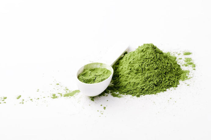 What Are Super Greens and What Is in a Typical Super Greens Powder?