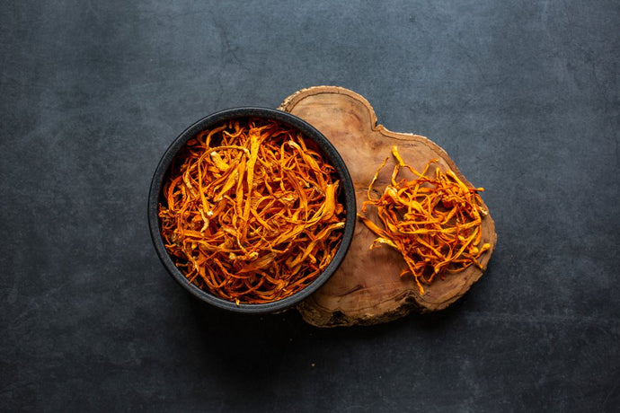 Why Is Cordyceps Good For You? The Benefits of Cordyceps