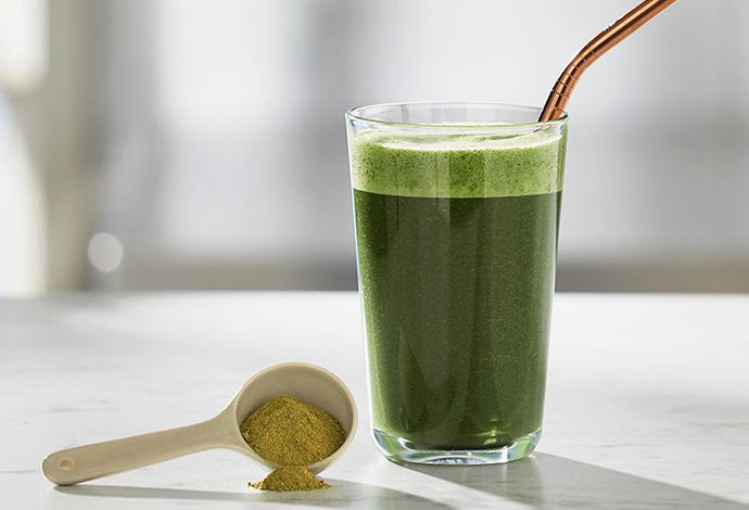 The 5 Best Greens Powders in Australia [Tried & Tested]