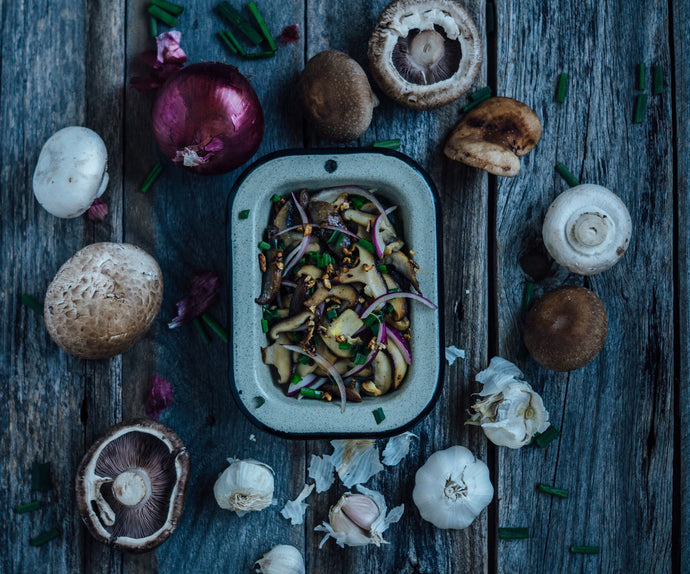 How To Grow Gourmet And Medicinal Mushrooms