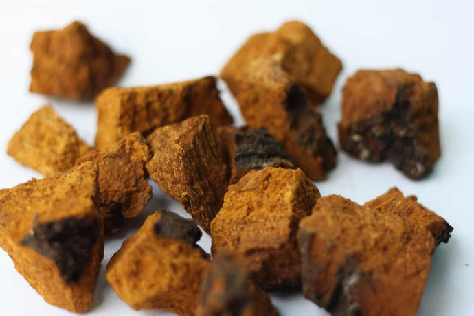 Can You Mix Chaga With Coffee?