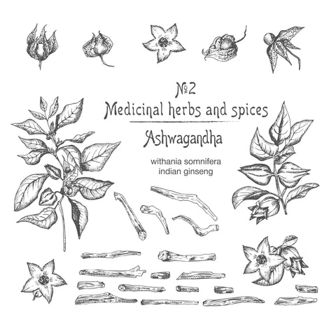 Ashwagandha VS Shatavari, Holy Basil, Valerian Root, Melatonin & CBD