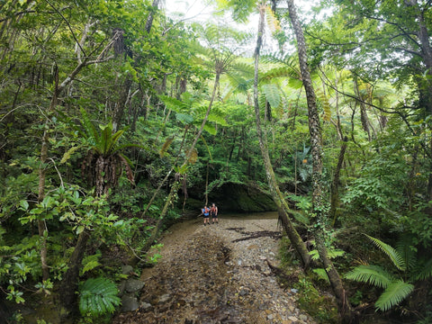 Okinawa Blue Zone Tour Review: Okinawan Longevity, Myth Busted!