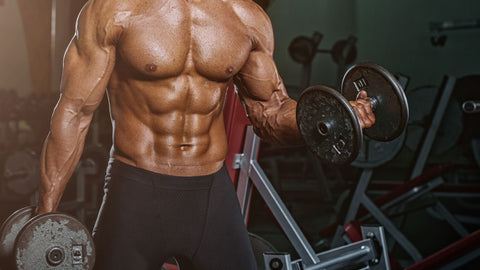 Turkesterone Explained: Benefits, Safety, and Natural Alternatives