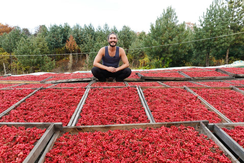 SuperFeast Schisandra Review – Schisandra Chinensis for Skin, Liver & Vitality