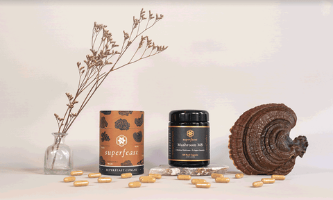 SuperFeast Mushroom M8 Review – 8 Mushroom Blend for Immune Support
