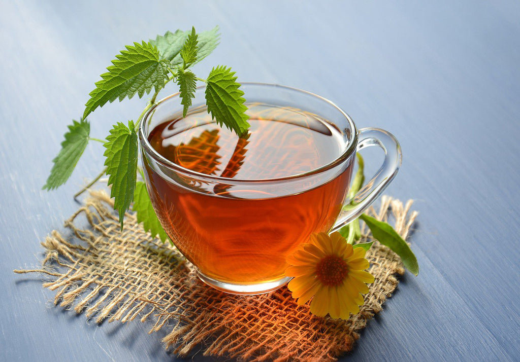 Does Tea Break A Fast? Best Teas While Intermittent Fasting