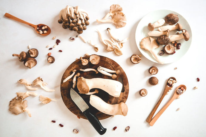 Which High-Protein Mushrooms Have the Most Protein?