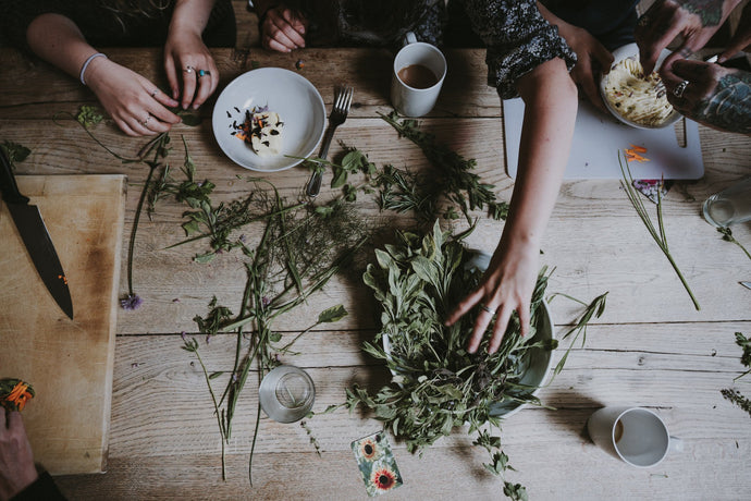 Rhodiola Rosea vs Ashwagandha: Which One Is Best For You?